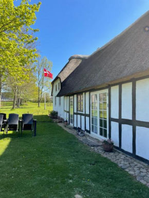 Bækgaardens bed and breakfast in Odense C